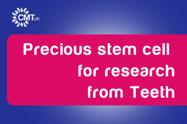 Precious stem cells for research from Teeth